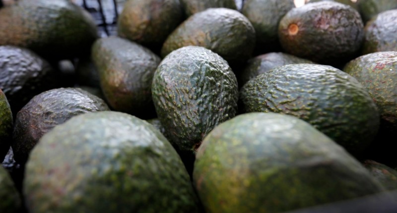 EL AGUACATE MEXICANO, LA OTRA ESTRELLA QUE DOMINA EL SUPER BOWL