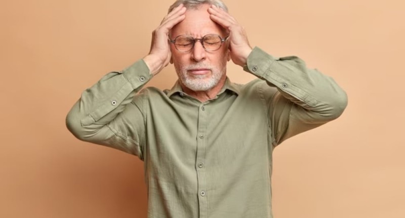 UNA BACTERIA INTESTINAL PODRÍA ACELERAR LA PÉRDIDA DE MEMORIA; INVESTIGADORES IDENTIFICAN LA CONEXIÓN CEREBRO-INTESTINO