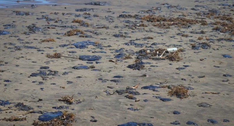 PEMEX ANUNCIA APOYO DE 35 MDP A PESCADORES POR DERRAME PETROLERO DEL GOLFO; VAN 128 TONELADAS DE RESIDUOS CON CRUDO RECOLECTADAS