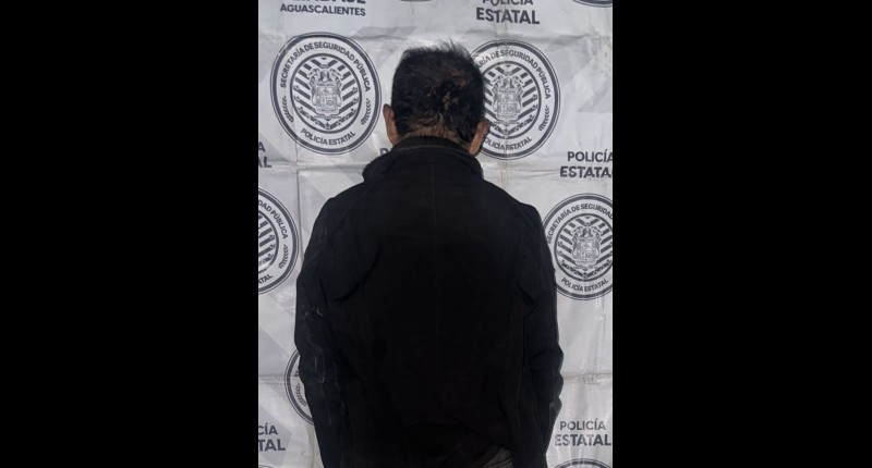 DETIENEN EN RINCON DE ROMOS A UNA PERSONA ARMADA