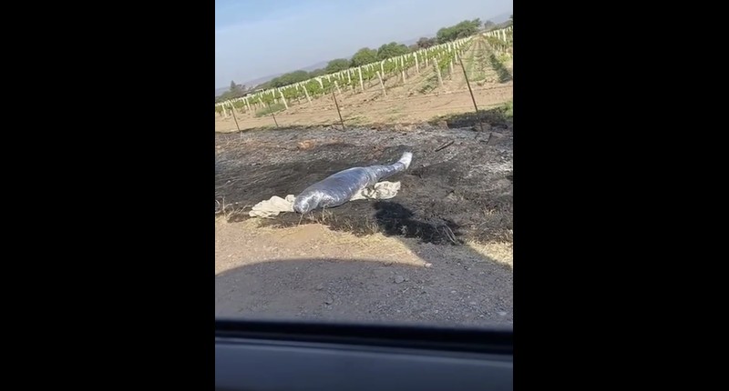 LOS CUERPOS DE 2 HOMBRES DEJADOS EN COSIO MURIERON POR ESTRANGULACIÓN 