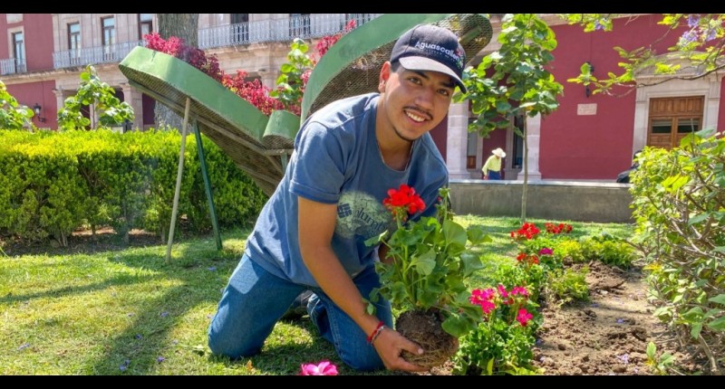 MUNICIPIO DE AGUASCALIENTES IMPULSA EL EMBELLECIMIENTO URBANO CON LA PLANTACIÓN DE 300 MALVAS