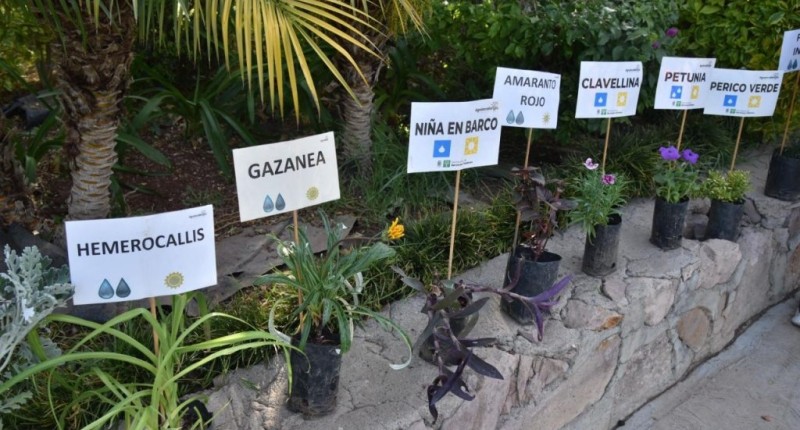 MUNICIPIO DE AGUASCALIENTES LANZA CAMPAÑA DE DONACIÓN DE PLANTAS
