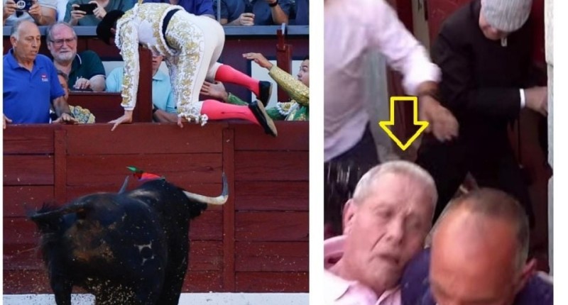 DRAMA EN LAS VENTAS: TORO SE ESCAPA AL VER PUERTA ABIERTA Y DEJA INCONSCIENTE A TRABAJADOR DE LA PLAZA l VIDEO