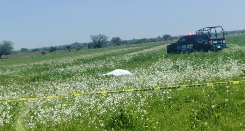 SEPTUAGENARIO MUERE EN UNA PARCELA EN EL LLANO, AGS TRAS CAER DE UN TRACTOR Y SER ATROPELLADO POR EL MISMO