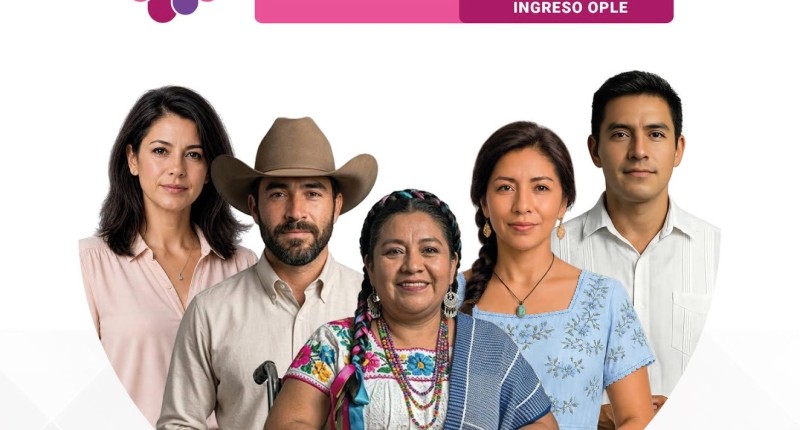 INVITA IEE AGS A CONCURSAR POR SEIS VACANTES EN EL SERVICIO PROFESIONAL ELECTORAL NACIONAL