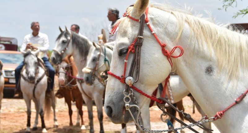 TODO LISTO EN AGS PARA LA GRAN CABALGATA DE LA FERIA INTERNACIONAL DEL CABALLO 2026