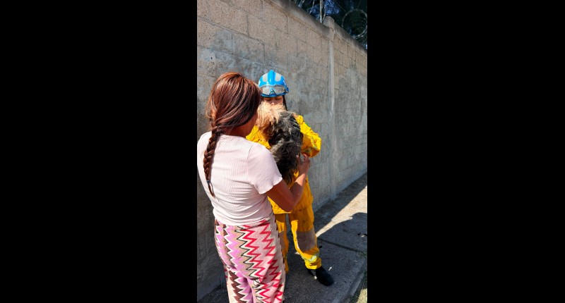 BOMBEROS DE AGS RESCATAN A PERRITO QUE SE QUEDÓ ATRAPADO ENTRE DOS BARDAS