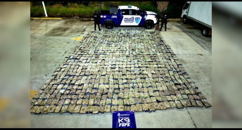ASEGURAN MÁS DE MEDIA TONELADA DE PRESUNTA MARIHUANA EN UNA EMPRESA DE PAQUETERÍA DE LEÓN, GUANAJUATO