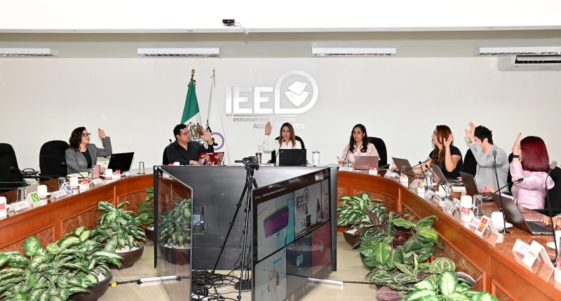 MODIFICA IEE DE AGS LINEAMIENTOS PARA GARANTIZAR LA PARIDAD DE GÉNERO EN CANDIDATURAS