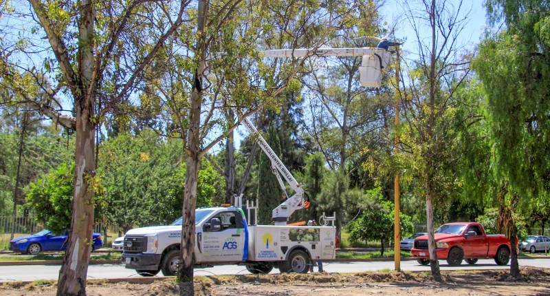 MUNICIPIO DE AGS RENUEVA Y MODERNIZA ALUMBRADO PÚBLICO EN EL BLVD. JOSÉ MA. CHÁVEZ