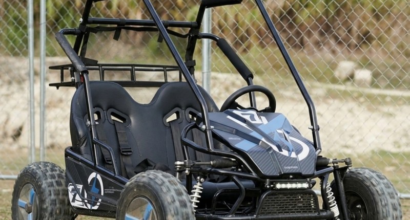 SE ROBAN LOTE DE GO KARTS AL NORTE DE LA CIUDAD DE AGUASCALIENTES 