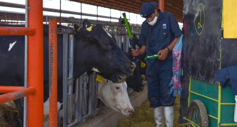 MANTIENE AGUASCALIENTES ESTRATEGIA DE PREVENCIÓN Y ATENCIÓN ANTE EL GUSANO BARRENADOR