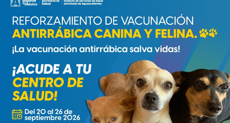DEL 20 AL 26 DE SEPTIEMBRE EN AGS SE REALIZARÁ LA SEMANA DE REFORZAMIENTO DE VACUNACIÓN ANTIRRÁBICA CANINA Y FELINA 2026   