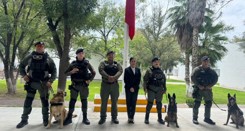 EL GRUPO K-9 DE JESÚS MARÍA, AGS, FORTALECE SU PREPARACIÓN EN ENTRENAMIENTO CANINO POSITIVO