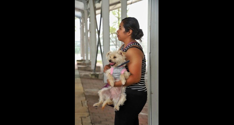 ACERCA GOBIERNO DE JESÚS MARÍA SERVICIOS DE ESTERILIZACIÓN Y PREVENCIÓN PARA ANIMALES DE COMPAÑÍA