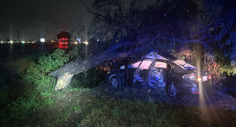 SE REGISTRÓ APARATOSO ACCIDENTE EN SAN FRANCISCO DE LOS ROMO DONDE AUTOMOVILISTA SALIÓ DEL CAMINO Y CHOCÓ CONTRA UN ÁRBOL QUE TERMINÓ DERRIBADO