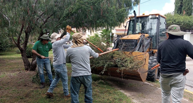 MUNICIPIO DE AGS INTENSIFICA ACCIONES DE LIMPIEZA Y CONSERVACIÓN EN EL ARROYO EL MOLINO