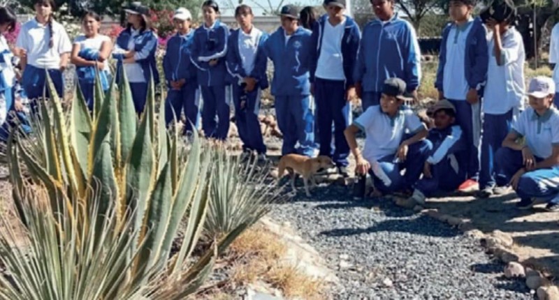 DESTACA LETICIA OLIVARES ACCIONES EN TEPEZALÁ DE DESARROLLO SUSTENTABLE Y PROTECCIÓN AMBIENTAL EN EL MARCO SU INFORME DE GOBIERNO