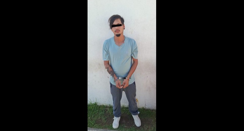 EN VALLE DE LOS CACTUS, PITBUL ATACÓ A POLICÍAS, LE DISPARARON Y DETUVIERON A SU DUEÑO
