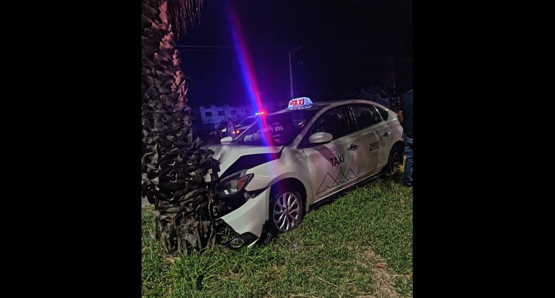 TAXISTA CHOCÓ CONTRA UNA PALMERA EN EL FRACCIONAMIENTO MONTEBELLO, EN AGS